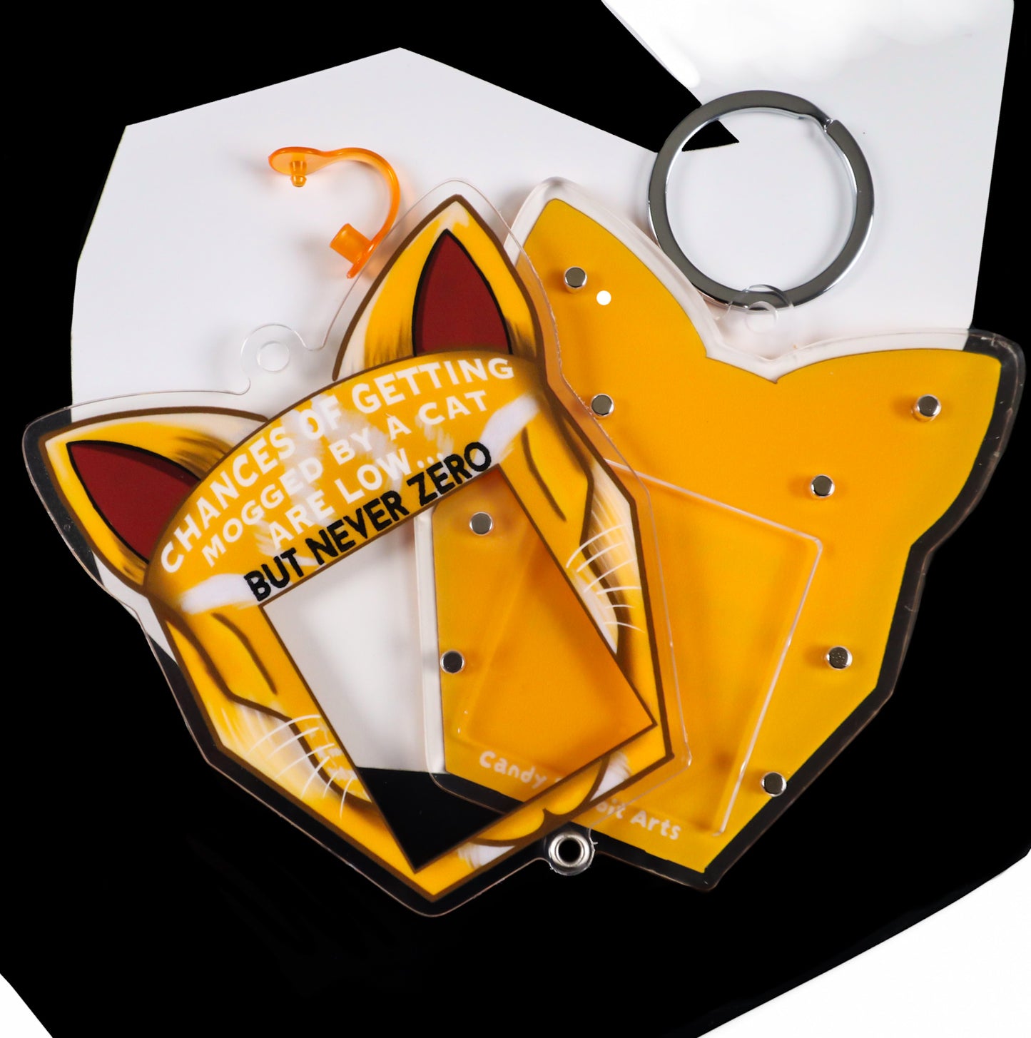 Mog Maxxing Cat Photo Shaker Keychain