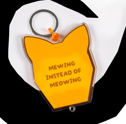 Mog Maxxing Cat Photo Shaker Keychain